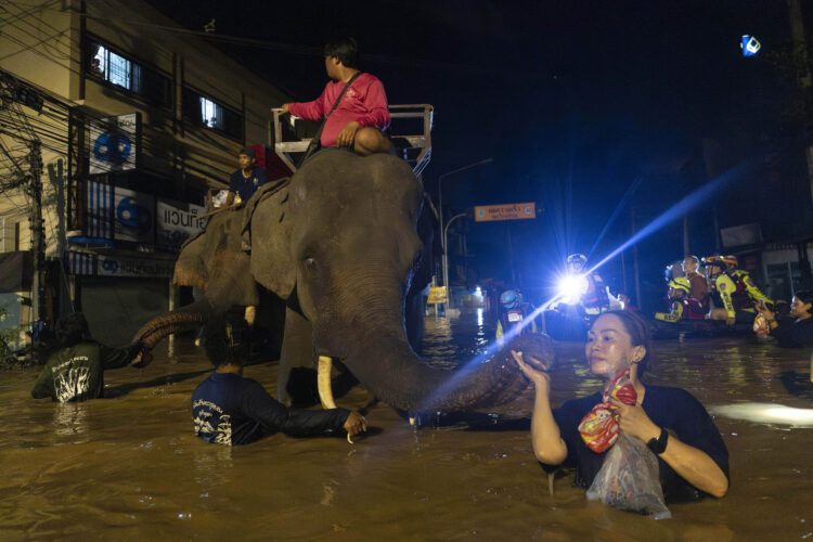 Central Thailand braces for inundation as rain stops  in Chiang Mai